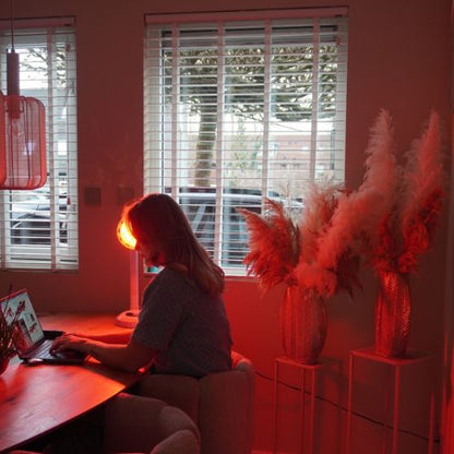 Redlight 120 infrarød lampe, detalje af reflektor med målrettet varmezone